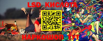 ГАЛЛЮЦИНОГЕННЫЕ ГРИБЫ Кулебаки