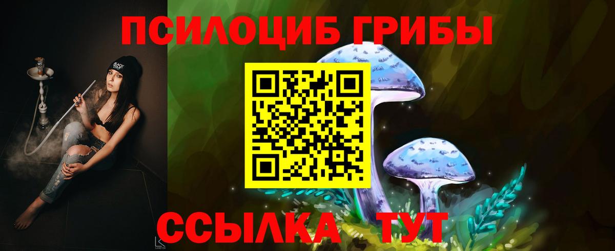 Псилоцибиновые грибы Psilocybe  Вход с VPN  Саранск 